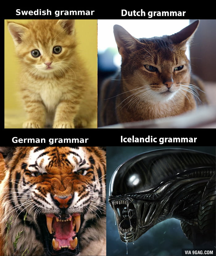 German grammar is not THAT horrible...